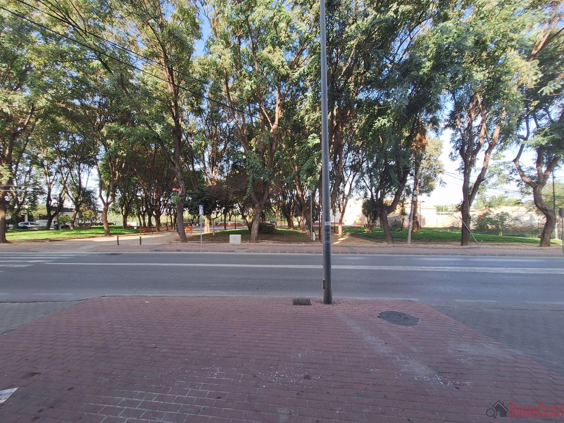 Închiriere din spații comerciale în Torreagüera