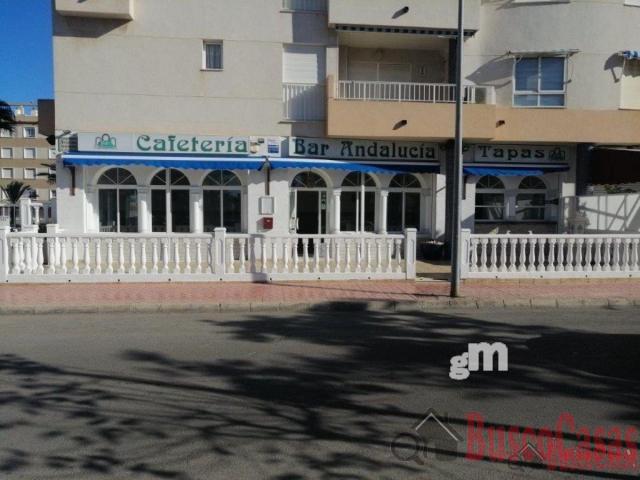 Venta de local comercial en Guardamar del Segura