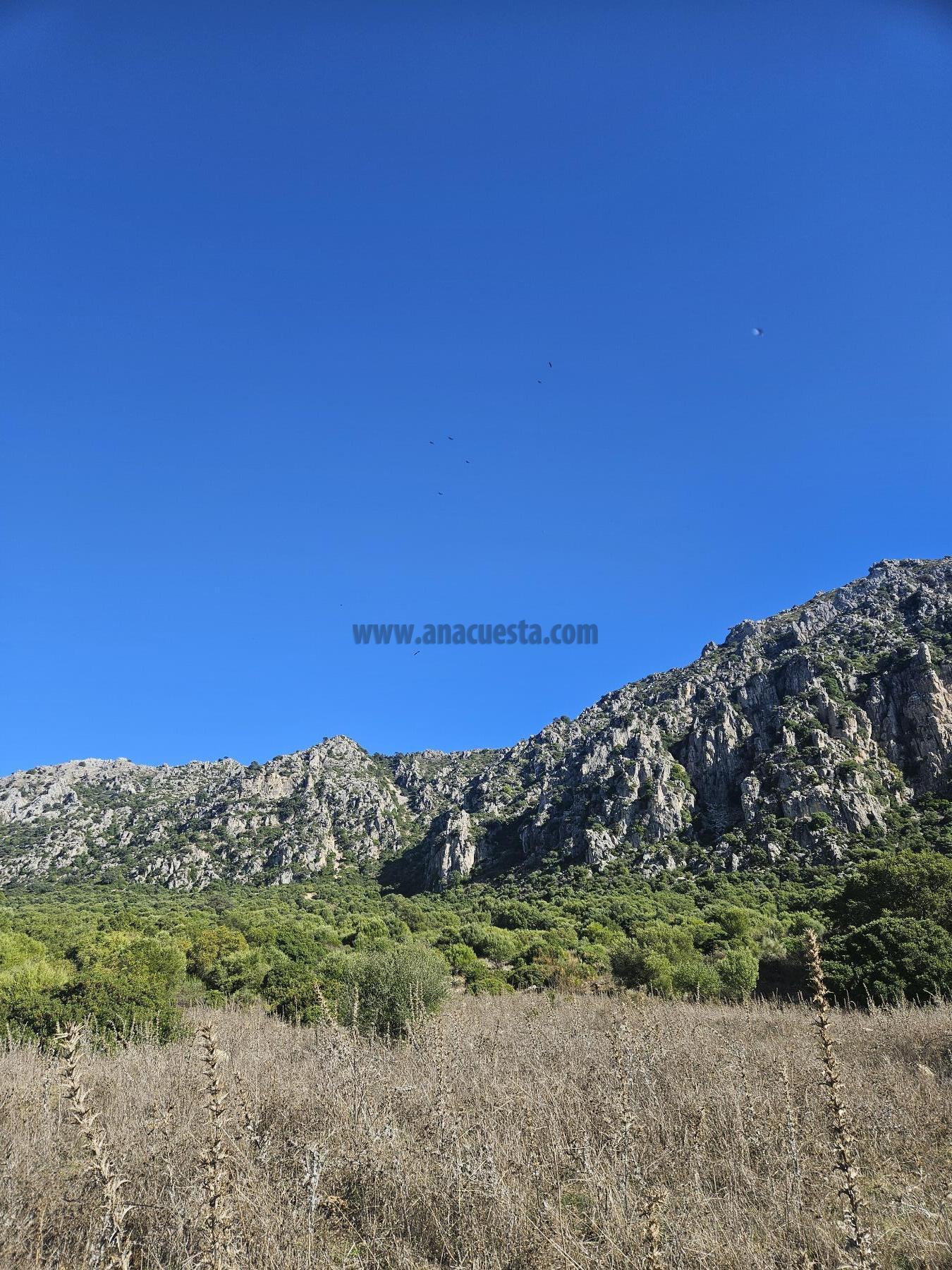 Venta de terreno en Casares