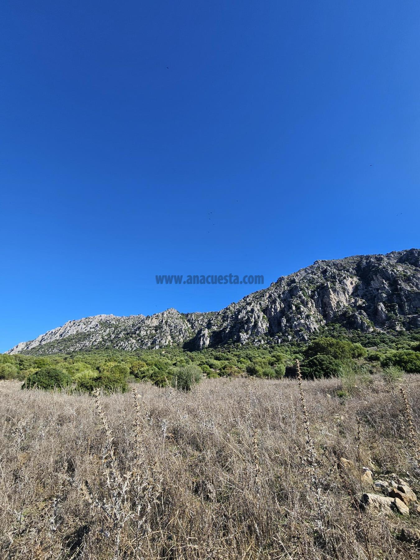 Venta de terreno en Casares
