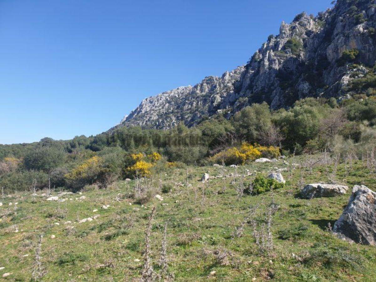 Venta de finca rústica en Casares