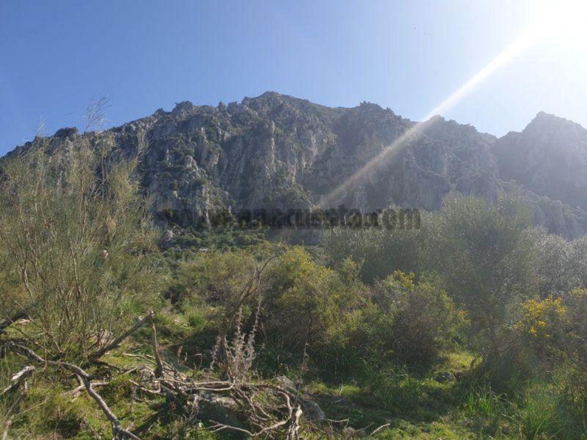 For sale of rural property in Casares