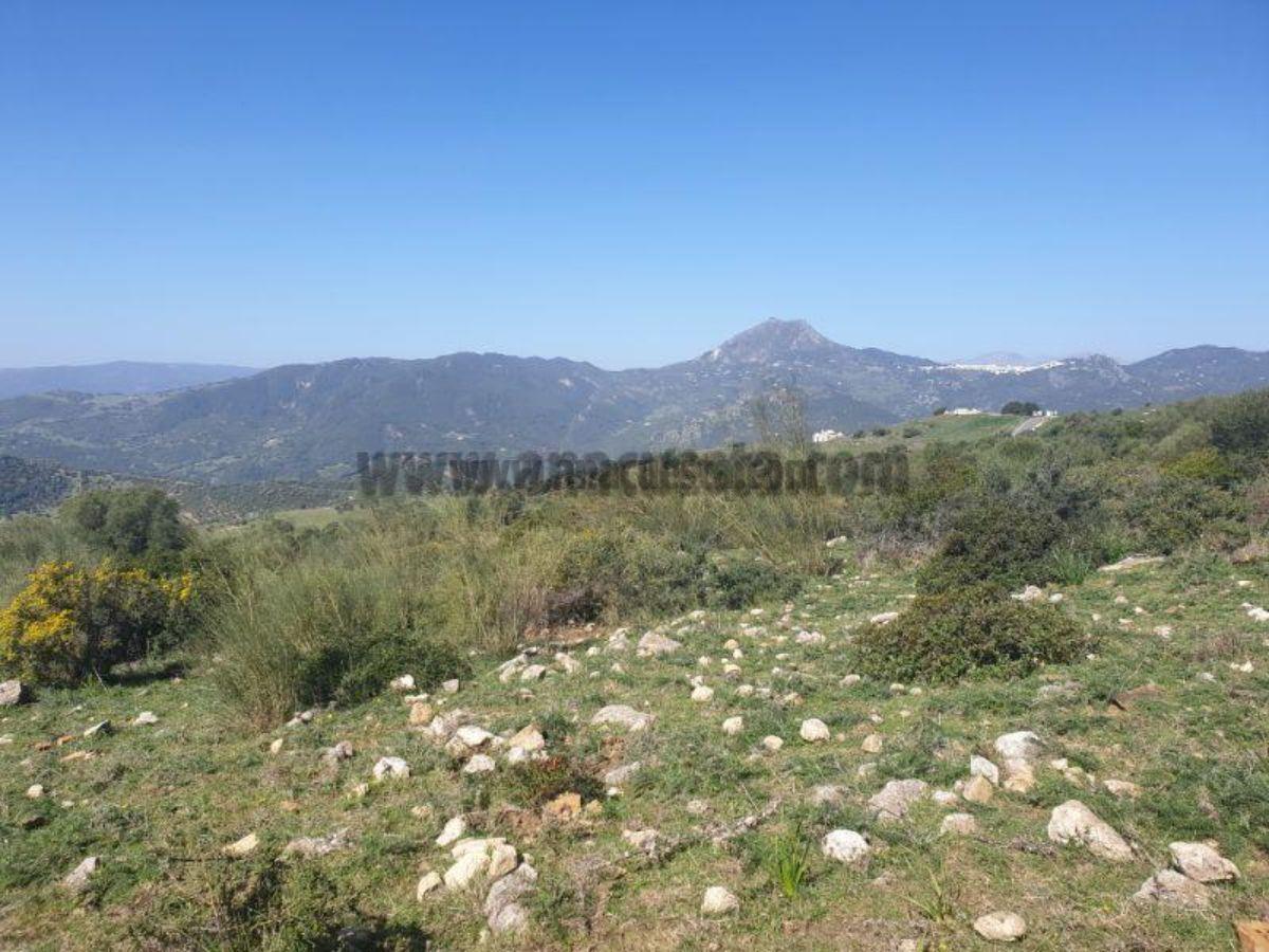 For sale of rural property in Casares