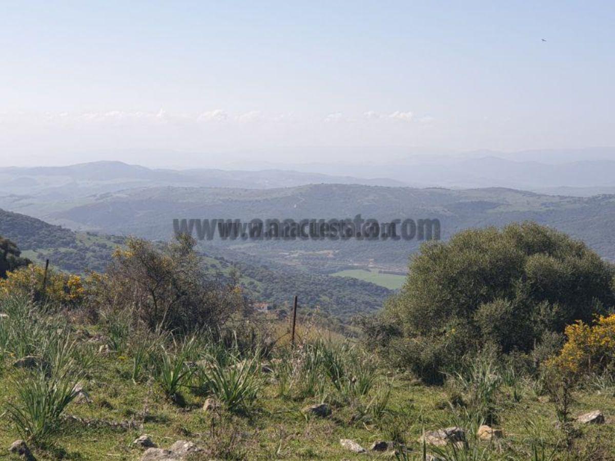 For sale of rural property in Casares