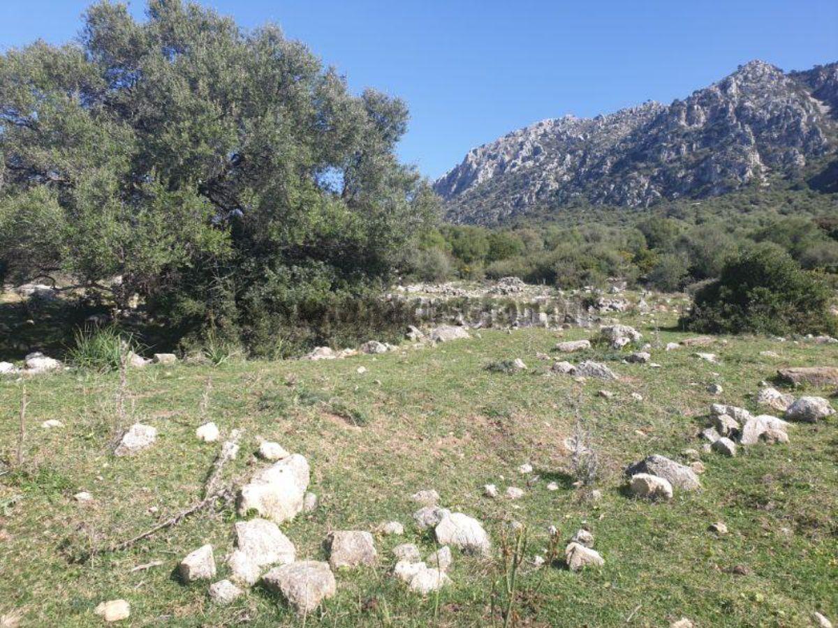 For sale of rural property in Casares