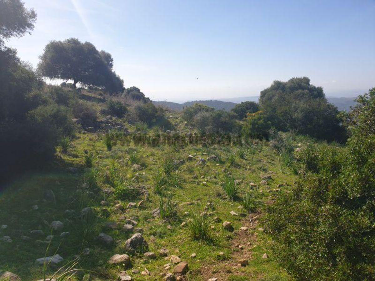 For sale of rural property in Casares