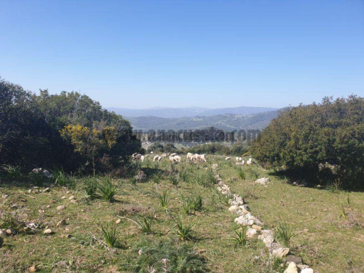 For sale of land in Casares