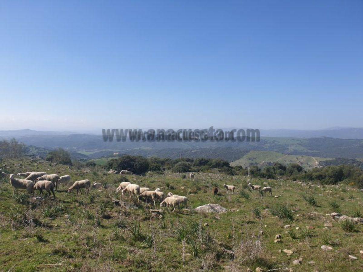 For sale of rural property in Casares