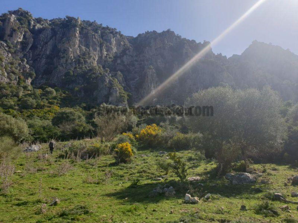 For sale of rural property in Casares