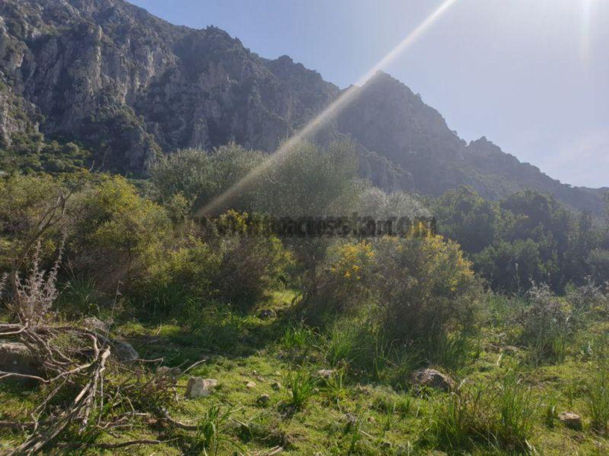 Venta de finca rústica en Casares