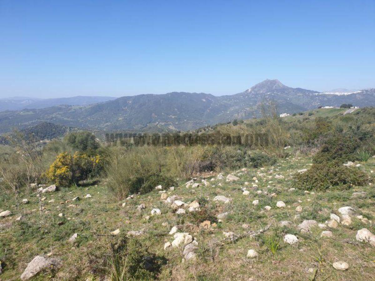 For sale of rural property in Casares