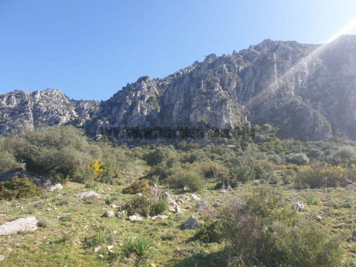 Vente de propriété rurale dans Casares