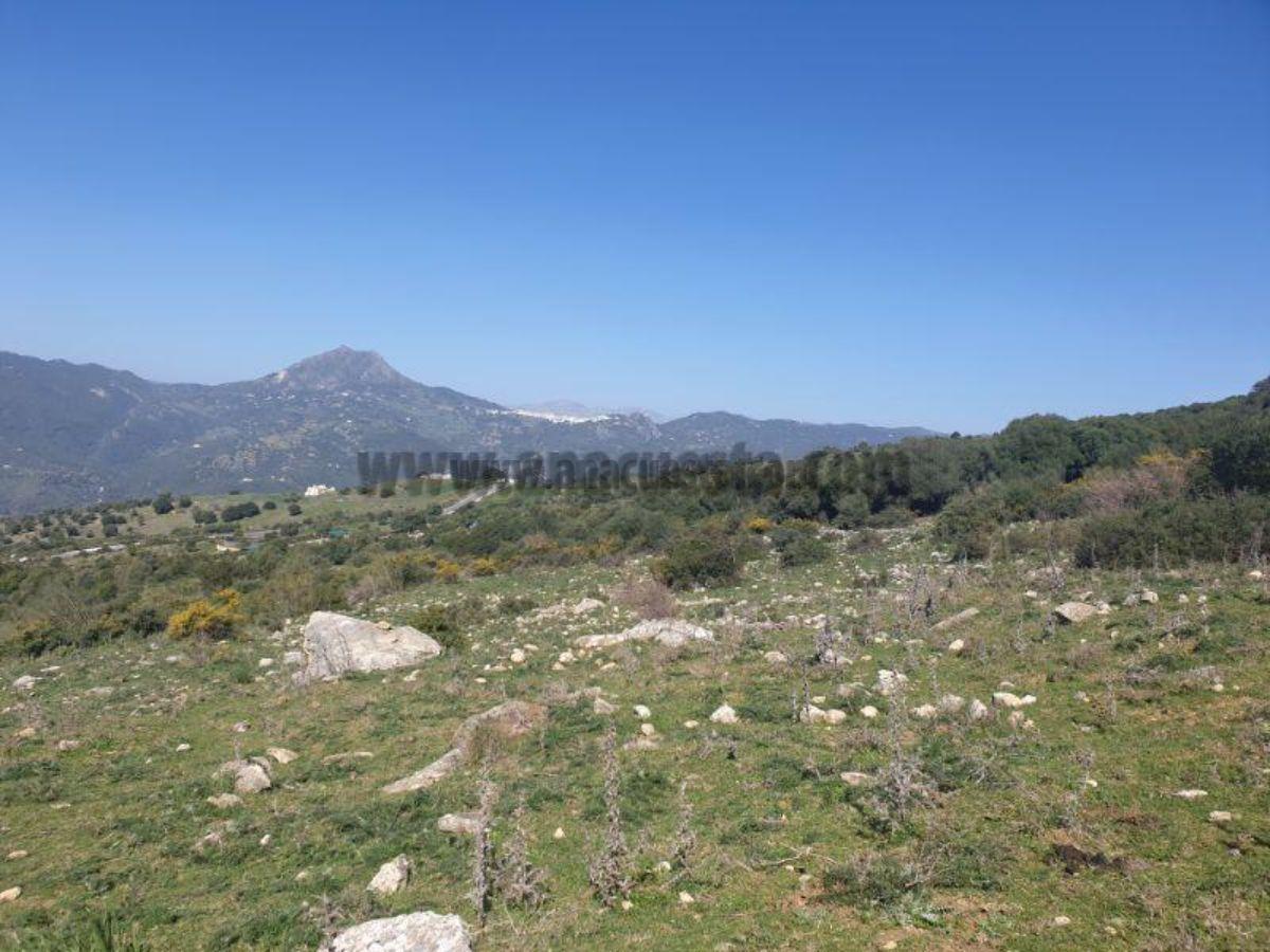 For sale of rural property in Casares