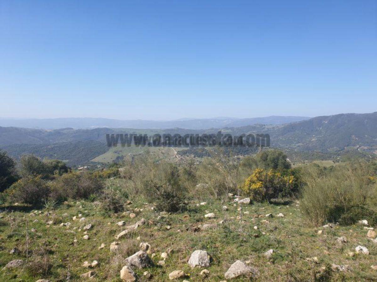 For sale of rural property in Casares