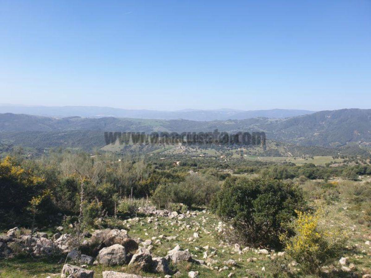 For sale of rural property in Casares