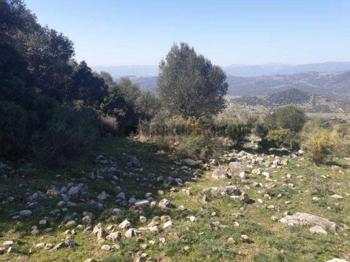 For sale of rural property in Casares