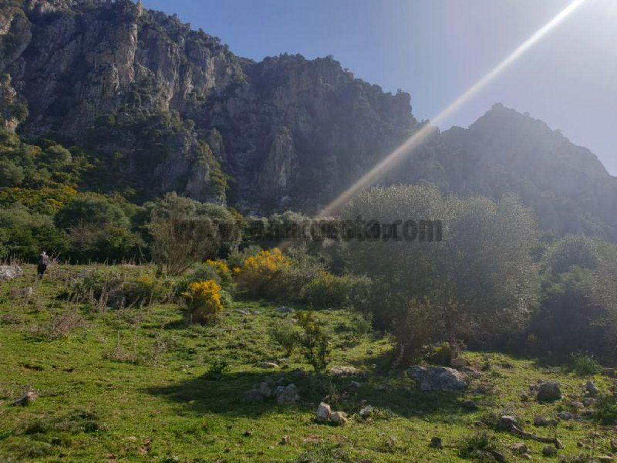 For sale of rural property in Casares