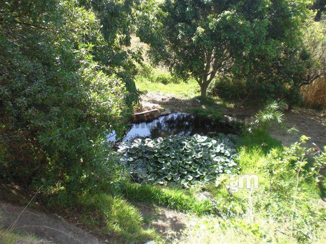 Vente de propriété rurale dans Estepona