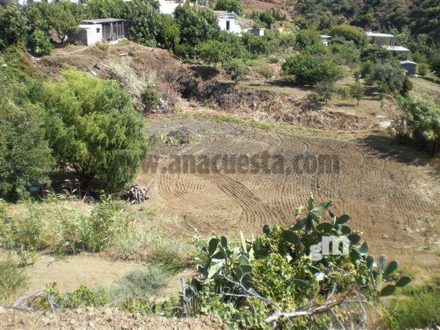 Vente de propriété rurale dans Estepona