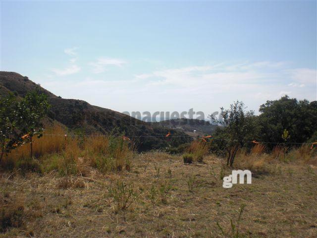 Vente de propriété rurale dans Estepona