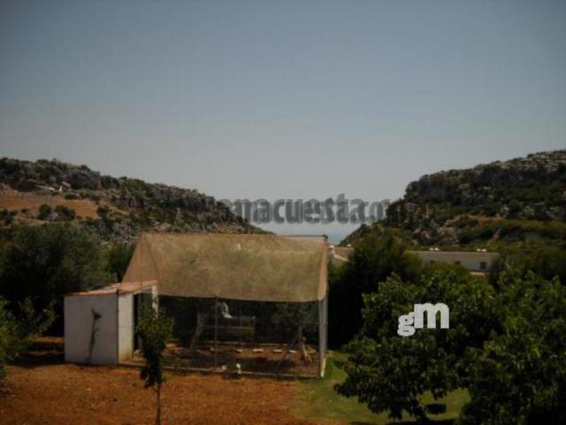 Vente de propriété rurale dans Casares