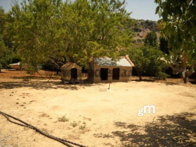 Vente de propriété rurale dans Casares