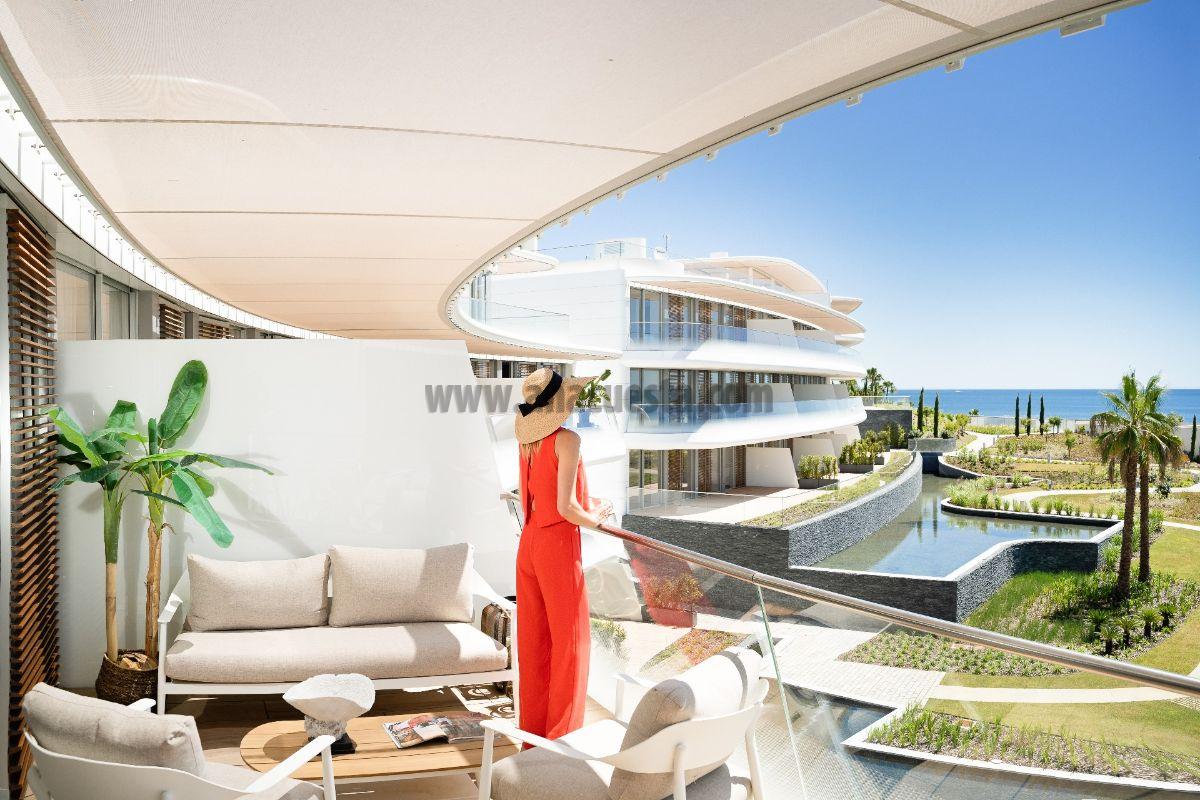 Terrace Terrace