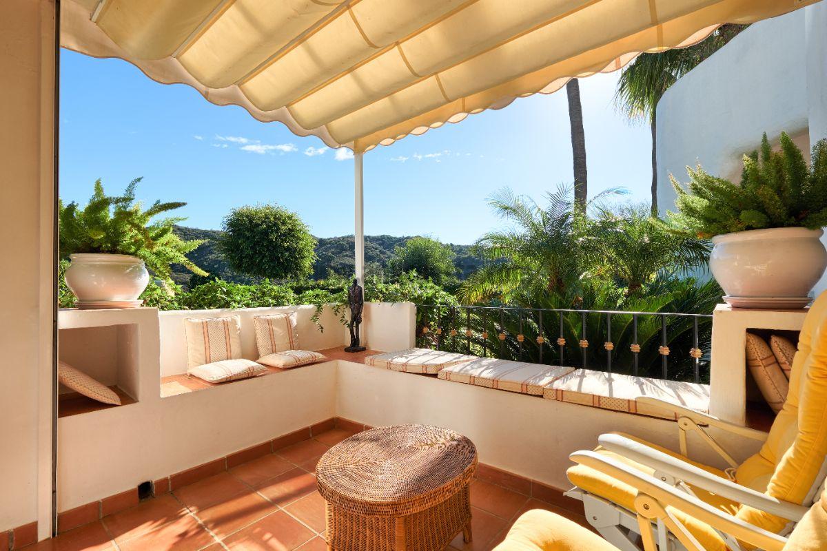 Terrace Terrace