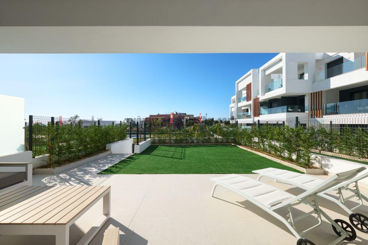 Terrace Terrace