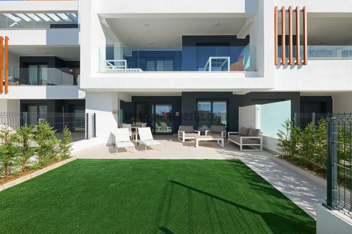 Terrace Terrace