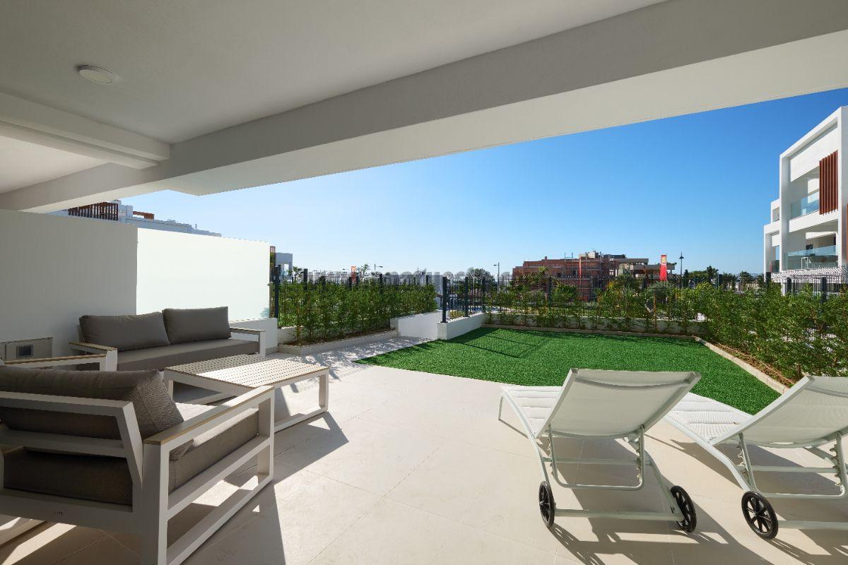 Terrace Terrace