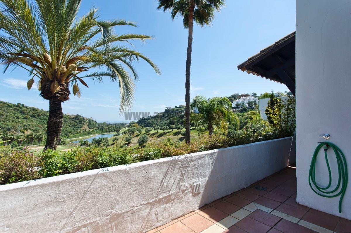 Terrace Terrace