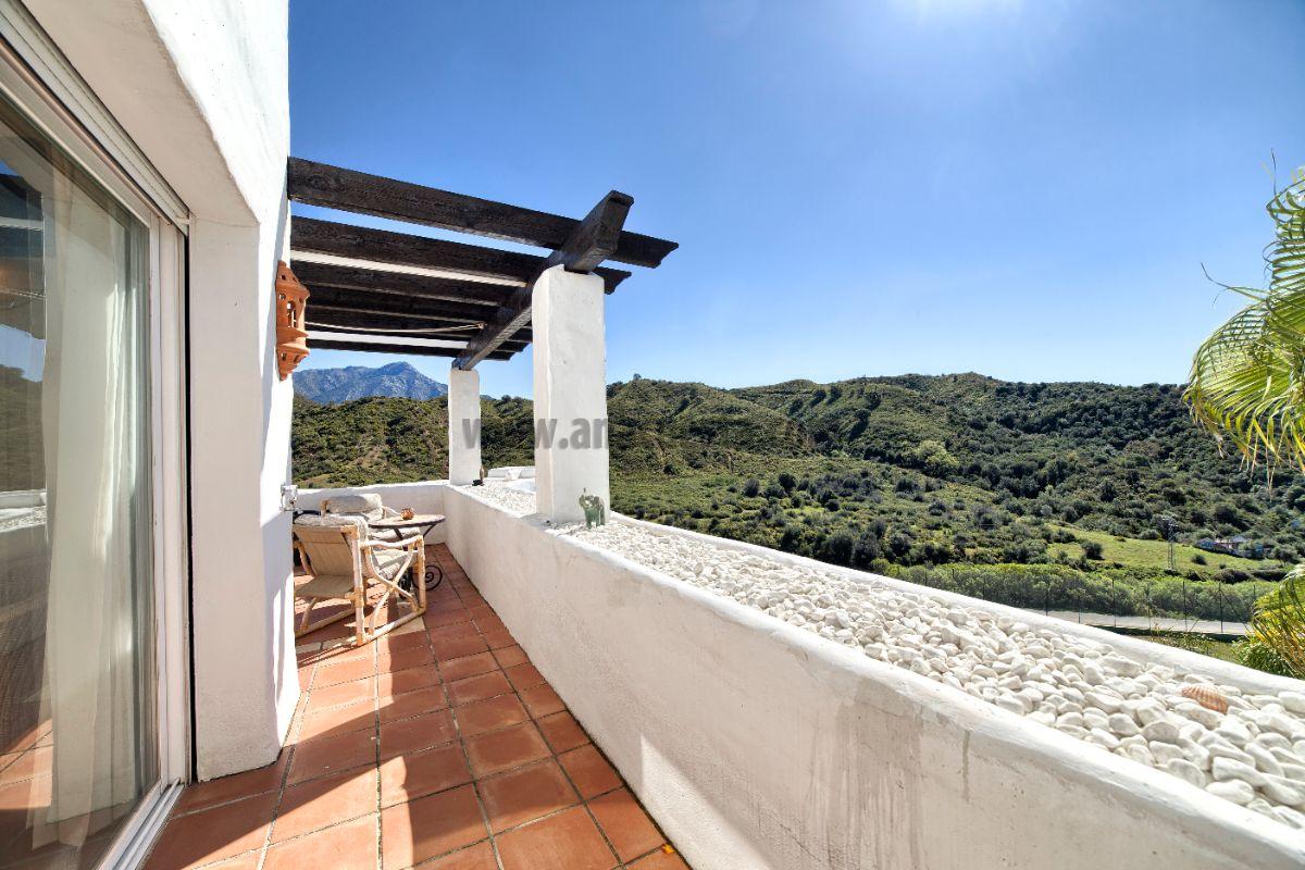 Terrace Terrace