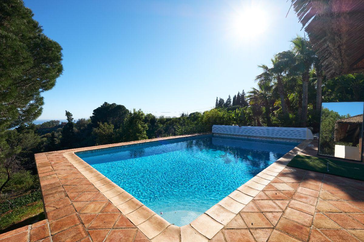 Swimming pool Swimming pool