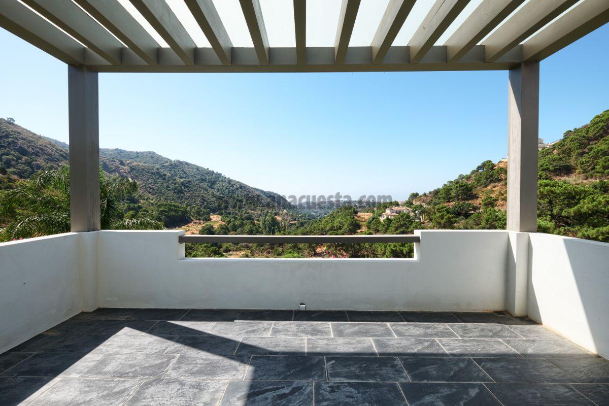 Terrace Terrace