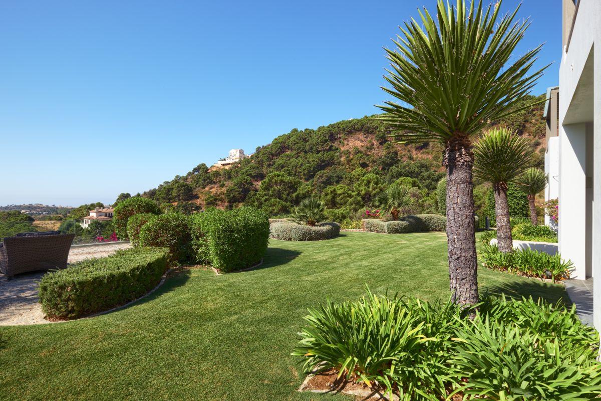 Garden Garden