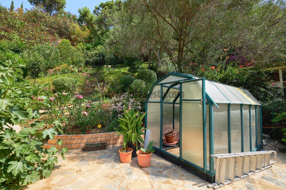 Garden Garden