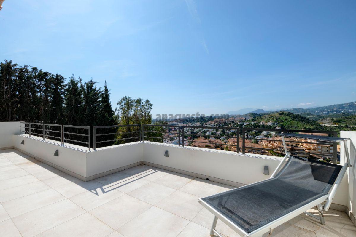 Terrace Terrace