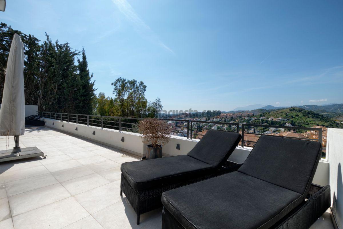 Terrace Terrace