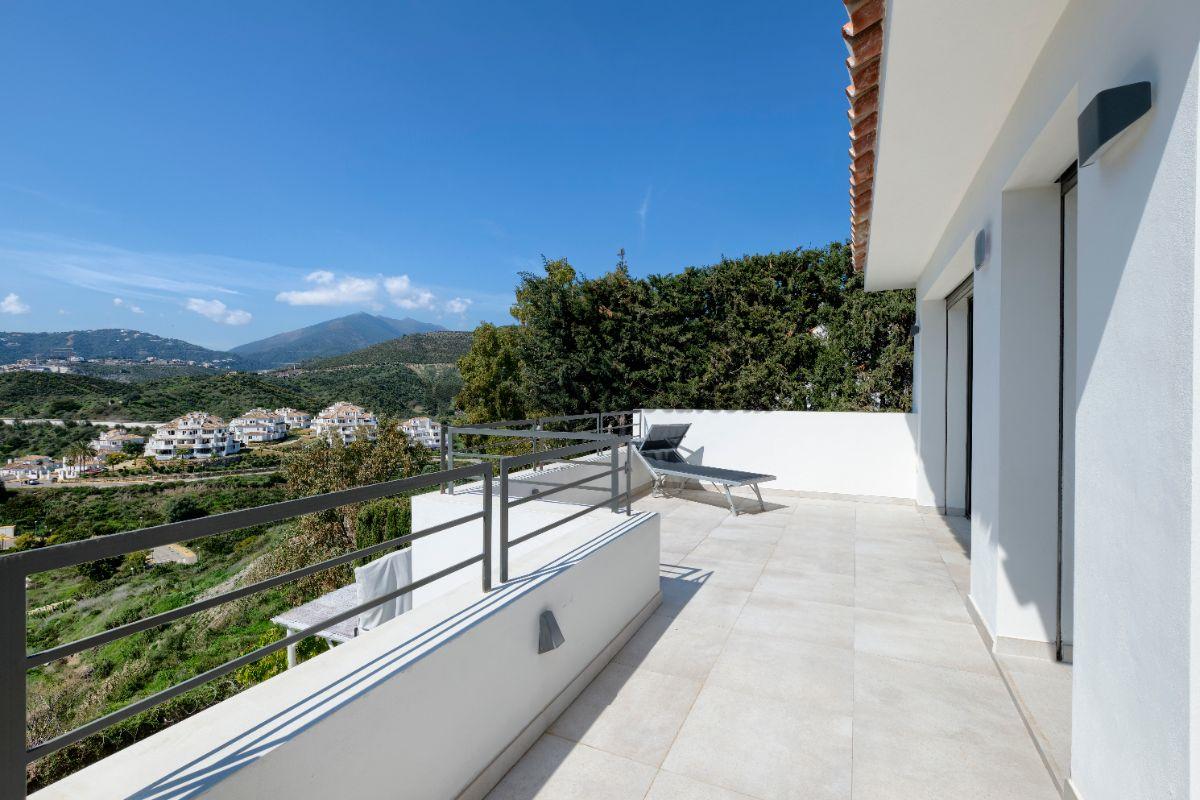 Terrace Terrace