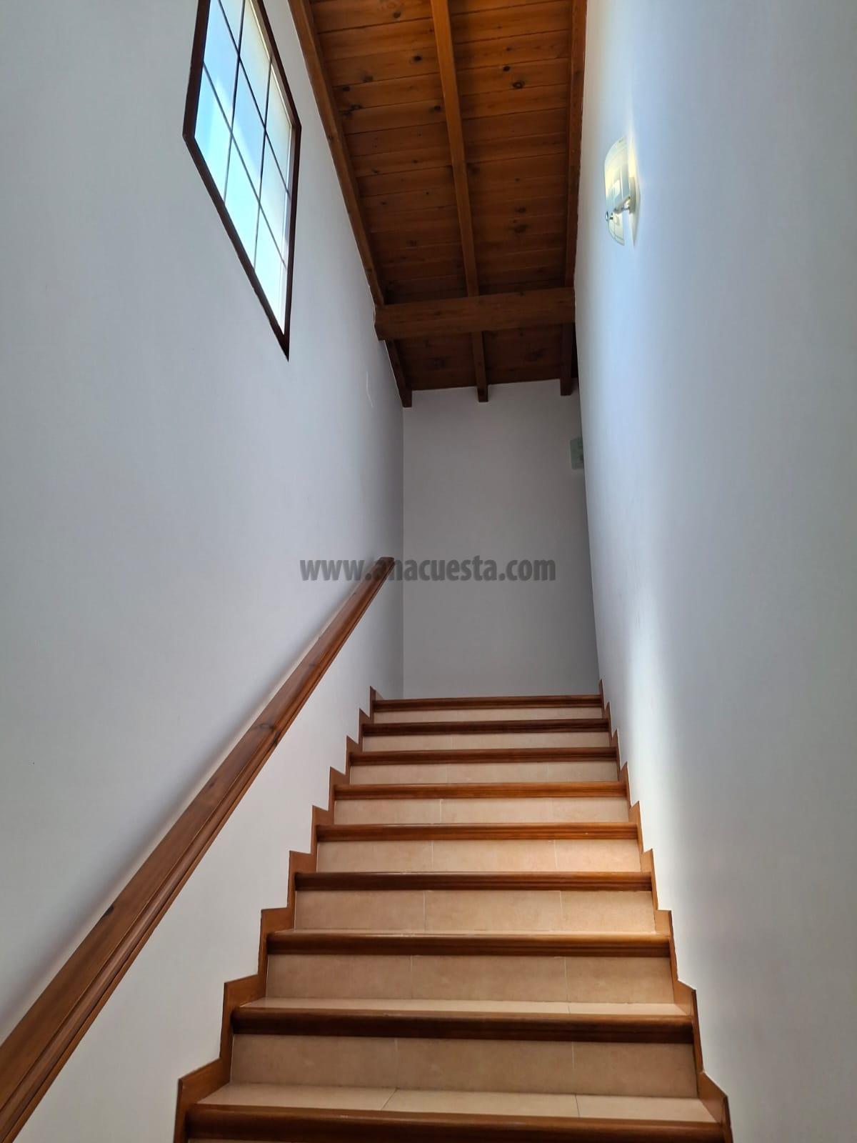 Alquiler de apartamento en Estepona