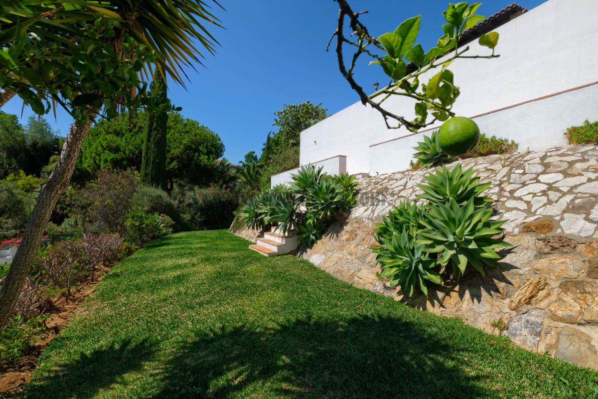 Garden Garden