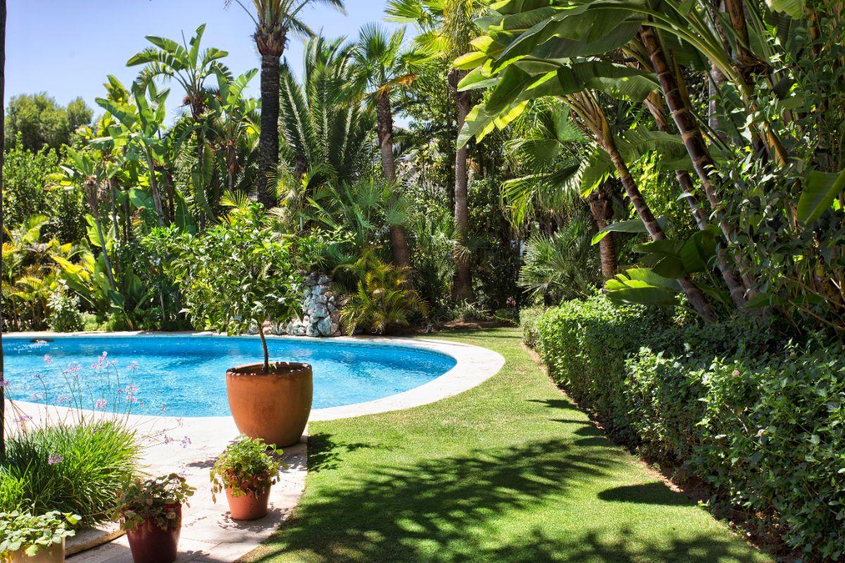 Swimming pool Swimming pool