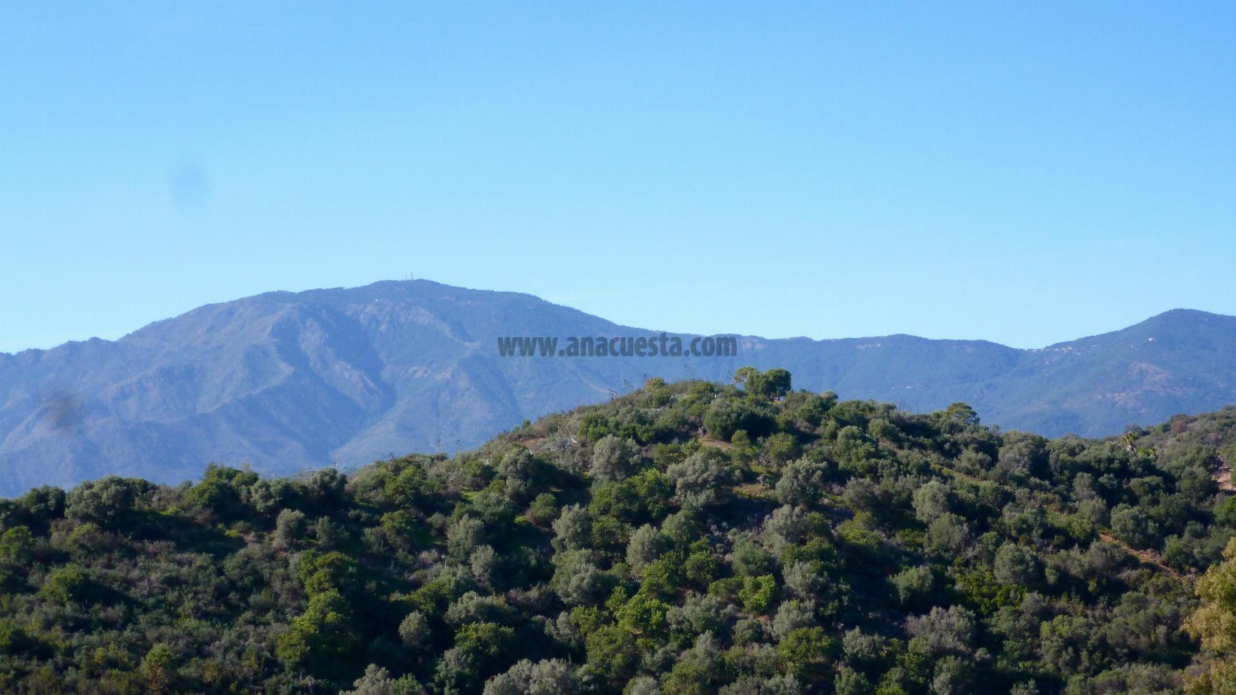 For sale of land in Estepona