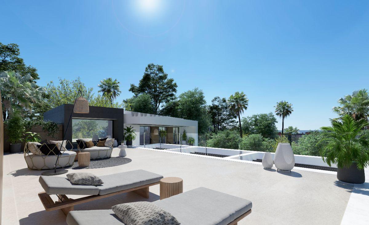 Terrace Terrace