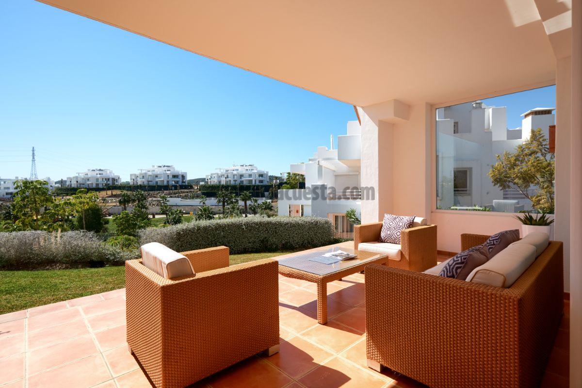 Terrace Terrace