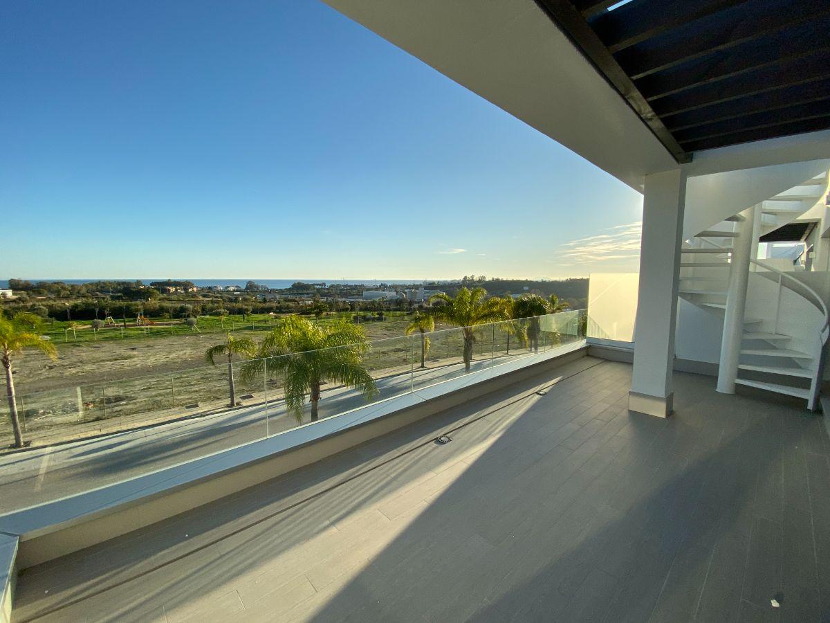 Terrace Terrace