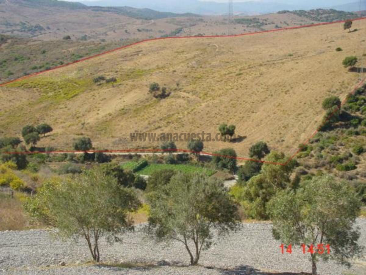 For sale of land in Casares