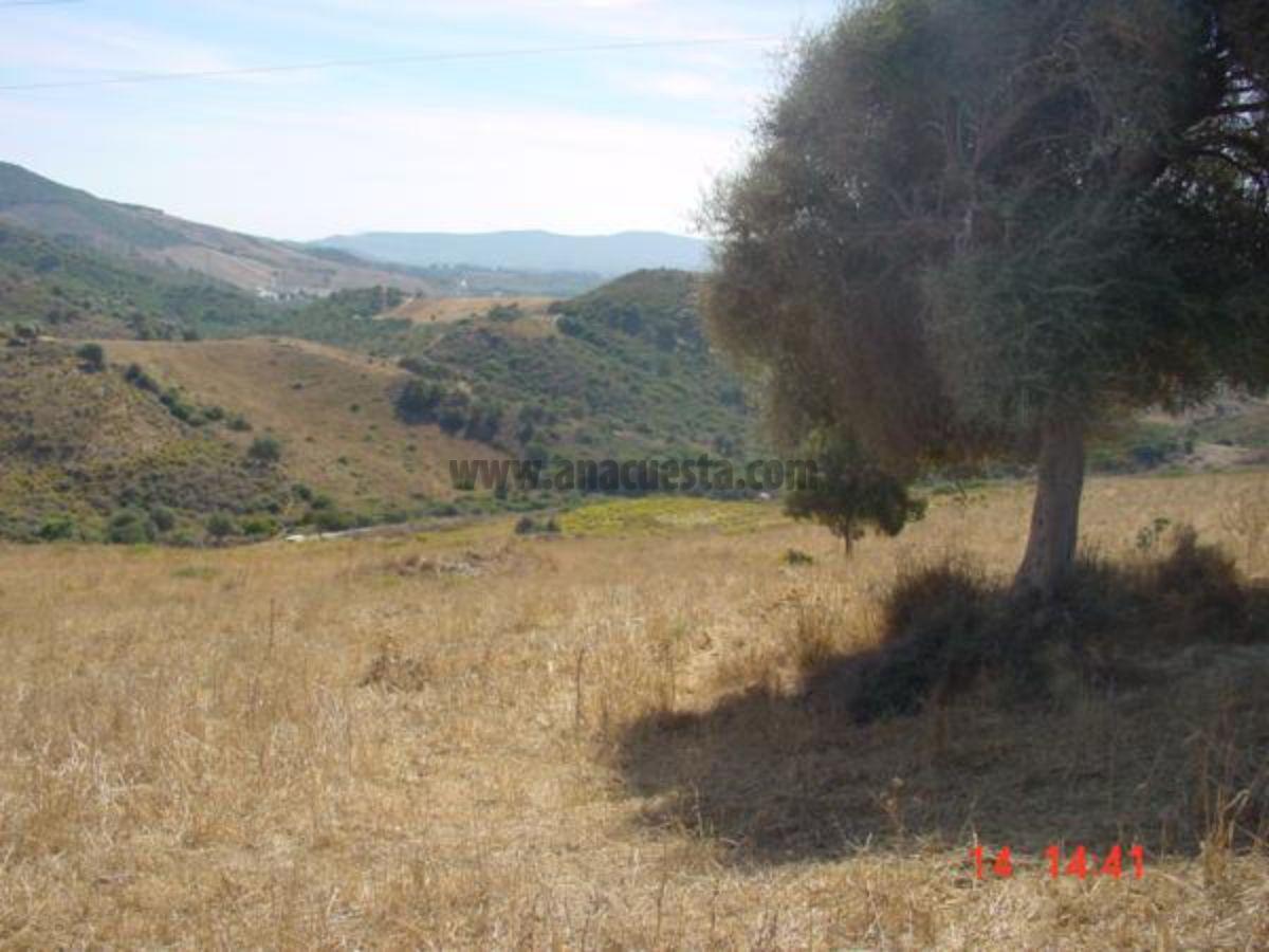 For sale of land in Casares