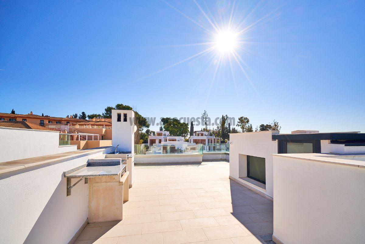 Terrace Terrace